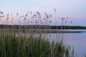 Jugendherberge am Wandlitzer See