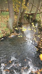 Yoga und Wandern - Jugendherberge bei Berlin