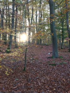 Yoga und Wandern - Jugendherberge bei Berlin