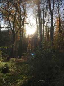 Yoga und Wandern - Jugendherberge bei Berlin